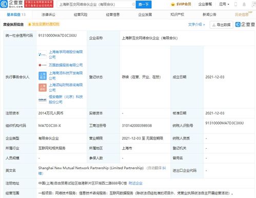 上海網(wǎng)絡(luò)技術(shù)服務(wù) 數(shù)字浪潮中的創(chuàng)新引擎與未來(lái)展望
