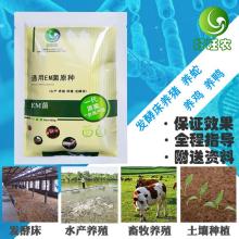 探尋食用菌優(yōu)質(zhì)種源 魚(yú)臺(tái)縣科達(dá)食用菌研究所的菌種密碼