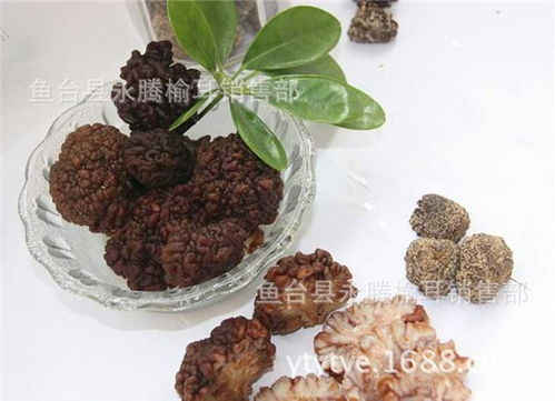 濟(jì)陽(yáng)白木耳與永騰榆耳 優(yōu)質(zhì)食用菌菌種推薦指南